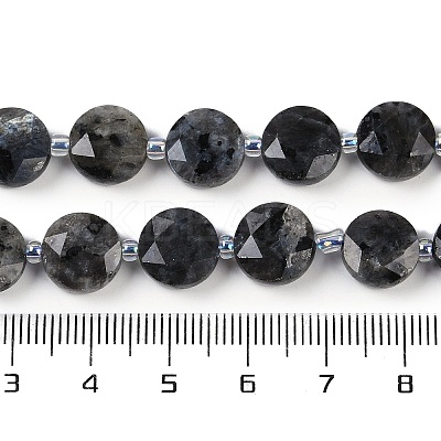 Natural Larvikite Beads Strands G-C116-A45-01-1