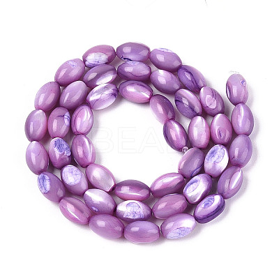Natural Trochus Shell Beads Strands X-SHEL-K006-19-01D-1