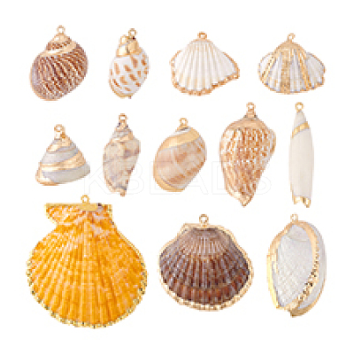 12Pcs 12 Styles Electroplated Natural Shell Pendants BSHE-PH0001-56-1