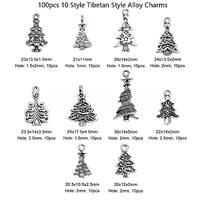 100pcs 10 Style Tibetan Style Alloy Charms TIBEP-CJ0001-40-1