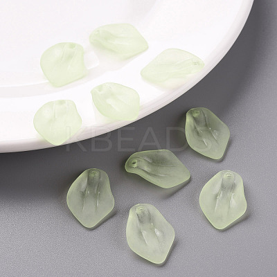 Transparent Frosted Acrylic Pendants MACR-S371-03A-728-1