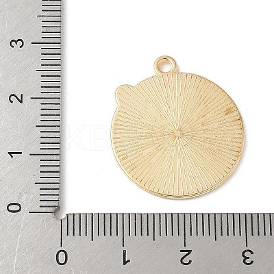 Alloy Enamel Pendants LS-FIND-H047-04G-01-1