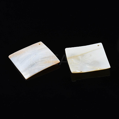 Natural Freshwater Shell Big Pendants SHEL-N026-177-1