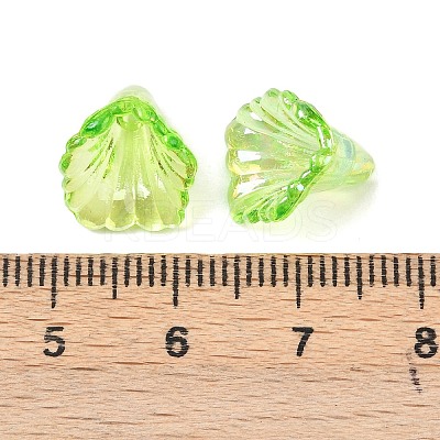 Transparent Acrylic Bead Caps OACR-G054-03M-1