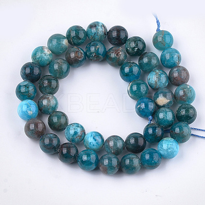 Natural Apatite Beads Strands G-S333-10mm-031-1