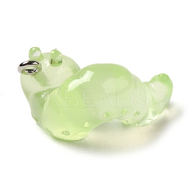Luminous Transparent Resin Pendants RESI-E056-03P-02-1