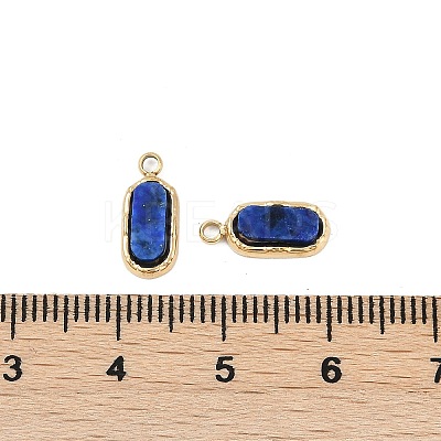 Natural Lapis Lazuli Rectangle Charms STAS-I325-141A-G-1