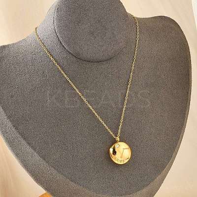 304 Stainless Steel Clear Cubic Zirconia Constellation Pendant Necklaces NJEW-R021-02G-01-1