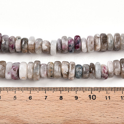 Natural Plum Blossom Tourmaline Beads Strands G-T141-29-1