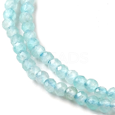 Natural Amazonite Beads Strands G-V001-A01-2mm-1
