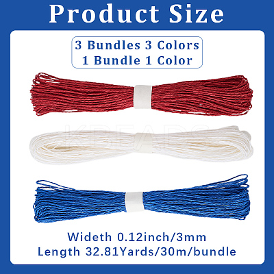 3 Bundles 3 Colors  Twisted Paper Cord DIY-CP0012-06E-1