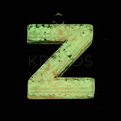 Luminous Resin Pendants X1-RESI-I059-Z01-1