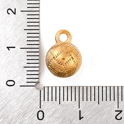 304 Stainless Steel Charms STAS-Z077-05G-1