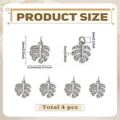 4Pcs Brass Micro Pave Cubic Zirconia Charms KK-LP0004-09P-1