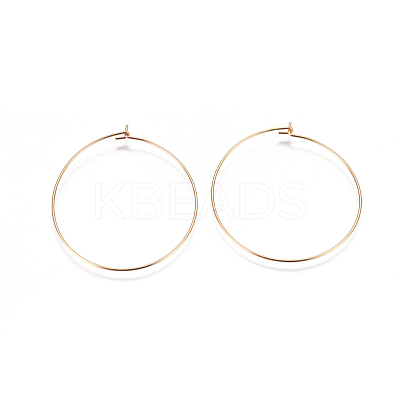 304 Stainless Steel Hoop Earrings Findings X-STAS-F227-54E-G-1