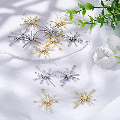 12Pcs 2 Colors Alloy Pendants FIND-LP0005-04-1