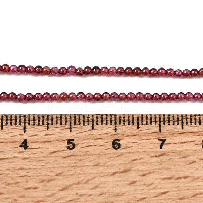 Natural Garnet Beads Strands G-N0213-04-2mm-1