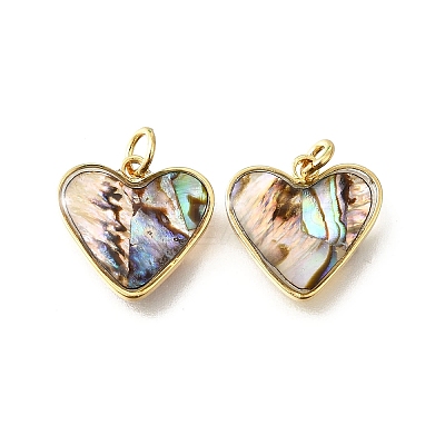 Natural Paua Shell & Epoxy Resin Charms KK-E794-02G-05-1