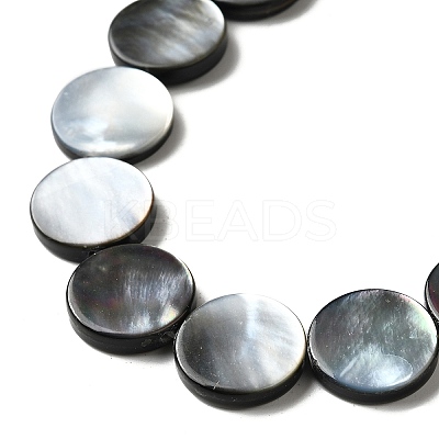 Natural Black Lip Shell Beads Strands BSHE-D300-05-14mm-1