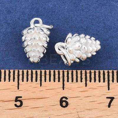 925 Sterling Silver Charms STER-I024-01S-1