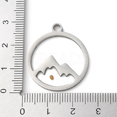 Non-Tarnish 201 Stainless Steel Pendants LS-STAS-D041-17P-1