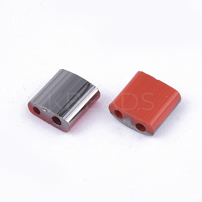 FGB 2-Hole Glass Seed Beads X-SEED-S031-L-045-H-1