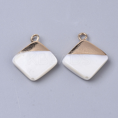 Electroplate Freshwater Shell Pendants LS-X1-SHEL-S276-64-1