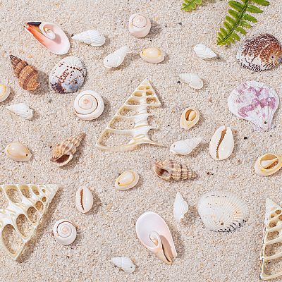 Mixed Shell Beads BSHE-PH0003-20-1