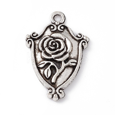 Tibetan Style Alloy Pendants FIND-A021-08AS-1