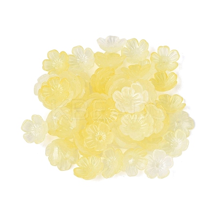 Transparent Plastic Bead Caps KY-Q005-02A-02-1