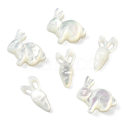 6Pcs 2 Styles Natural White Shell Beads BSHE-CJ0001-05-1