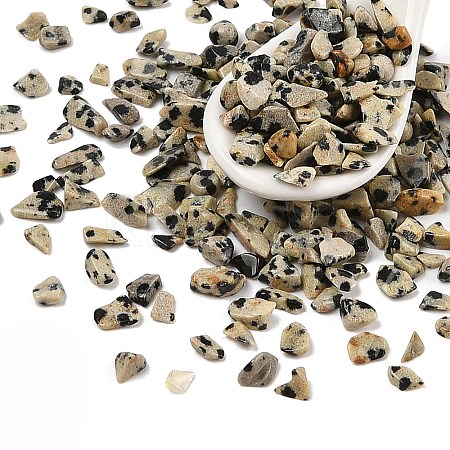 Pandahall Natural Dalmatian Jasper Chip Beads G-M055-04-1