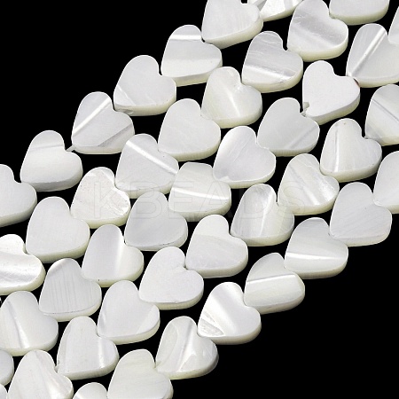 Natural Trochid Shell/Trochus Shell Beads Strands SH-CBA2978-19A-1