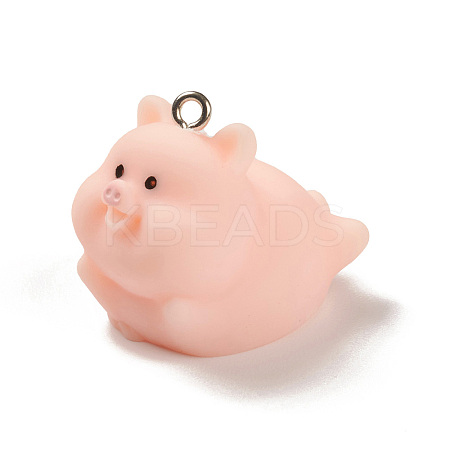 Opaque Resin Pendants LS-RESI-K023-03D-1