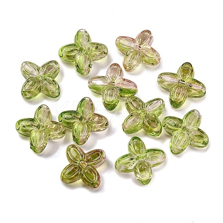 794Pcs Two Tone Transparent Acrylic Beads MACR-K359-24B-1