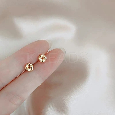 Alloy Earrings for Women FS-WG98937-77-1