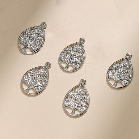 304 Stainless Steel Pendants STAS-M116-31P-1