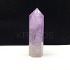Point Tower Natural Amethyst Home Display Decoration PW23030648201-1