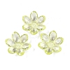 Transparent Acrylic Bead Caps OACR-H118-03H-1