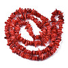 Natural Freshwater Shell Beads Strands X-SHEL-S278-071A-2