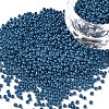 12/0 FGB Grade A Round Glass Seed Beads SEED-N001-A-1013-1