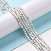 Natural Howlite Beads Strands G-H273-02A-3