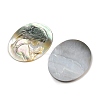 Natural Black Lip Shell Cabochons SSHEL-I026-04B-04-2