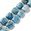 Natural Apatite Beads Strands G-H061-A04-01-1