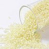 TOHO Round Seed Beads SEED-JPTR15-0182-1