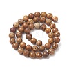 Natural Picture Jasper Round Bead Strands G-G-P070-55-8mm-4