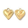 Ion Plating(IP) 304 Stainless Steel Pendants STAS-I671-21G-1
