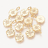Brass Micro Pave Cubic Zirconia Charms X-ZIRC-R015-105G-1