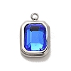 304 Stainless Steel Glass Pendants STAS-L022-062P-07-1