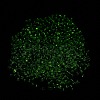 Luminous Glass Seed Beads SEED-A033-07K-5